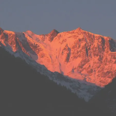 호텔 D'oro 마쿠냐가